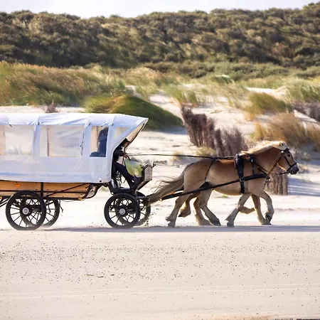 Apartment Deichknutt Himmel - Mit Hafen Und Meerblick